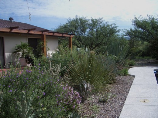 Landscaping